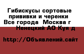 Гибискусы сортовые, прививки и черенки - Все города, Москва г.  »    . Ненецкий АО,Куя д.